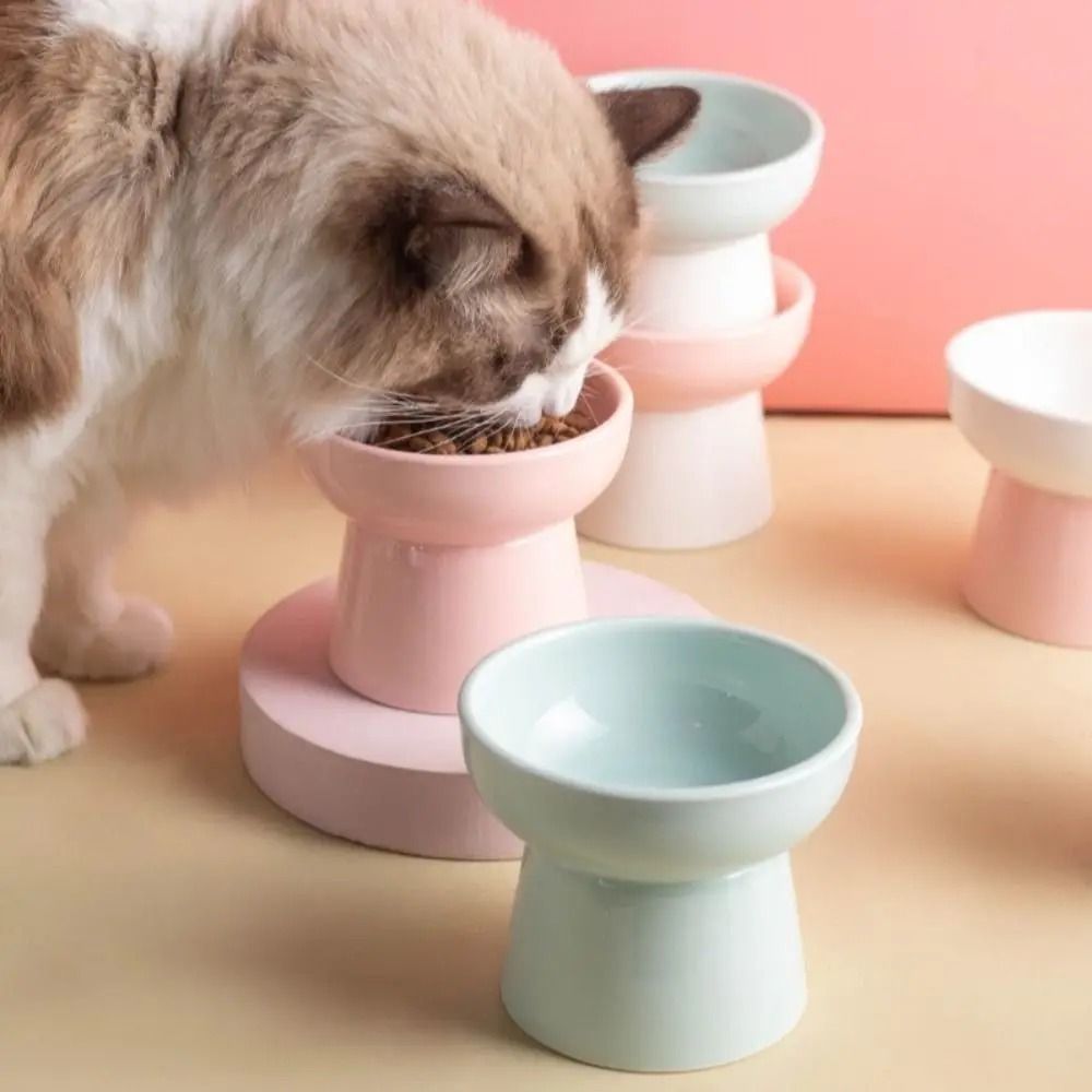 ZenithCurve Elevated Ceramic Feeding Dish 2