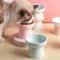 ZenithCurve Elevated Ceramic Feeding Dish 2