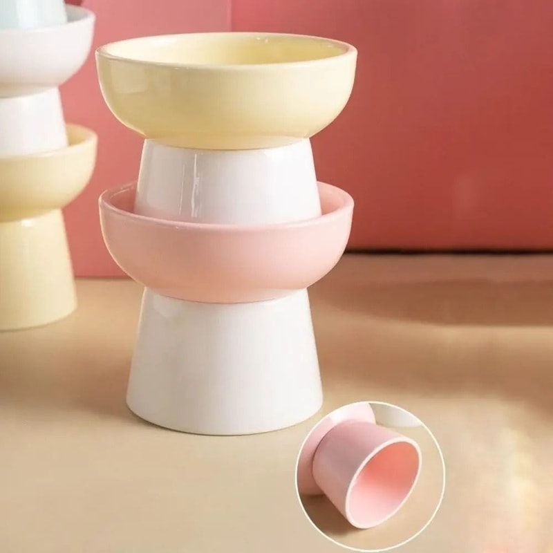 ZenithCurve Elevated Ceramic Feeding Dish 3