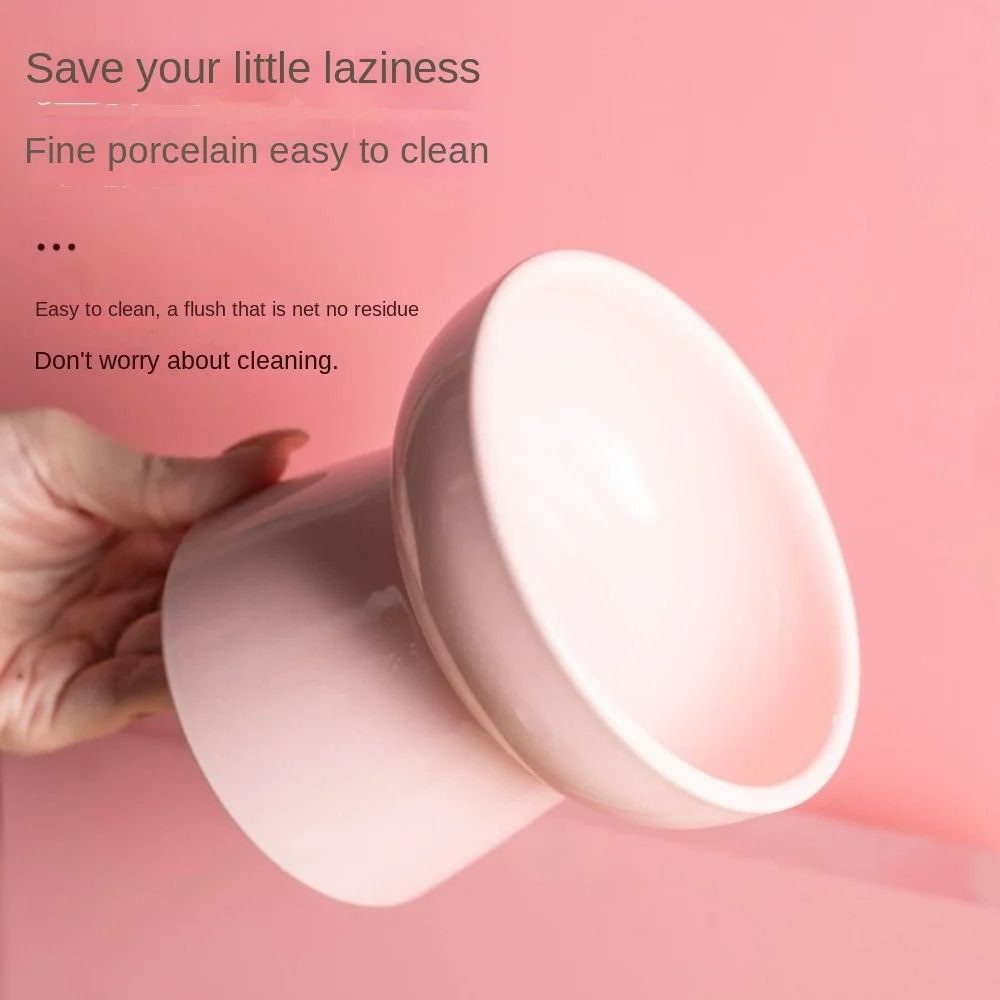 ZenithCurve Elevated Ceramic Feeding Dish 4