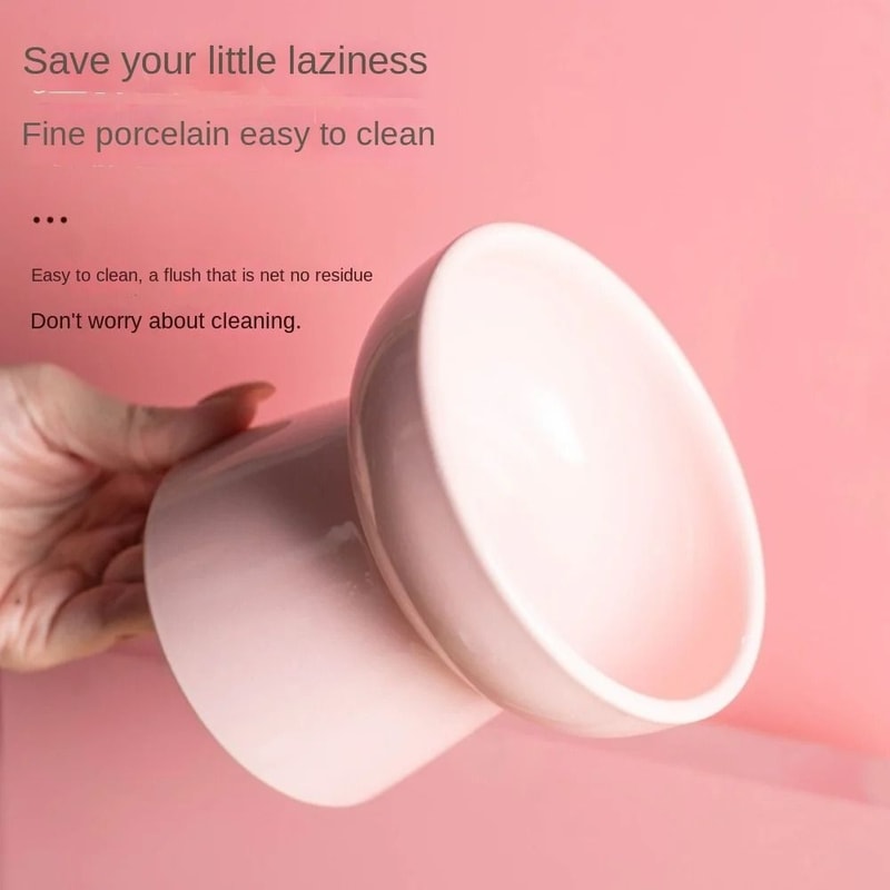 ZenithCurve Elevated Ceramic Feeding Dish 4