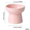 ZenithCurve Elevated Ceramic Feeding Dish 5