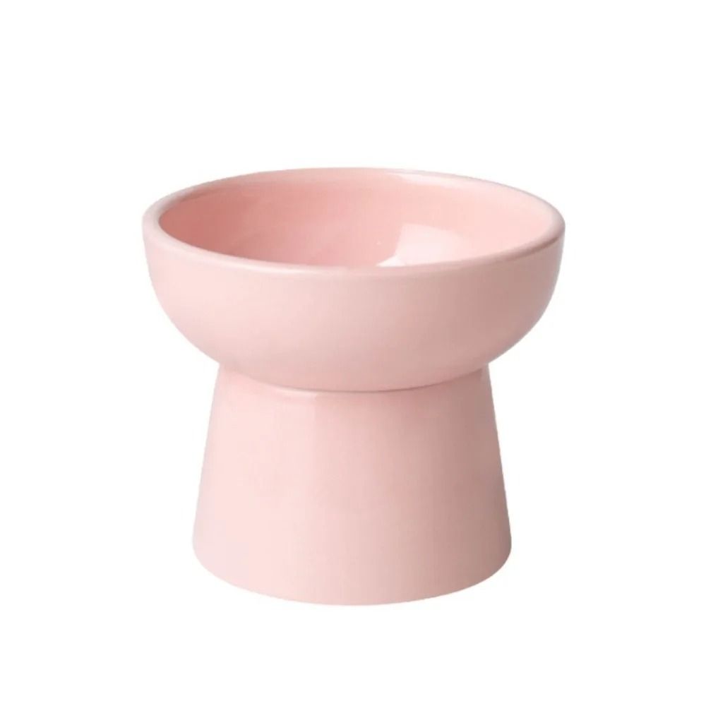 ZenithCurve Elevated Ceramic Feeding Dish 6