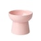 ZenithCurve Elevated Ceramic Feeding Dish 6
