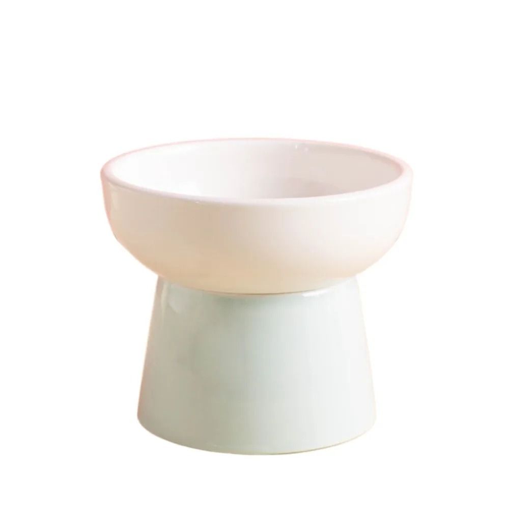 ZenithCurve Elevated Ceramic Feeding Dish 10