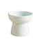 ZenithCurve Elevated Ceramic Feeding Dish 12