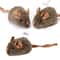 GhostSqueak Smart Induction Interactive Mouse 6