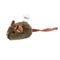 GhostSqueak Smart Induction Interactive Mouse 7