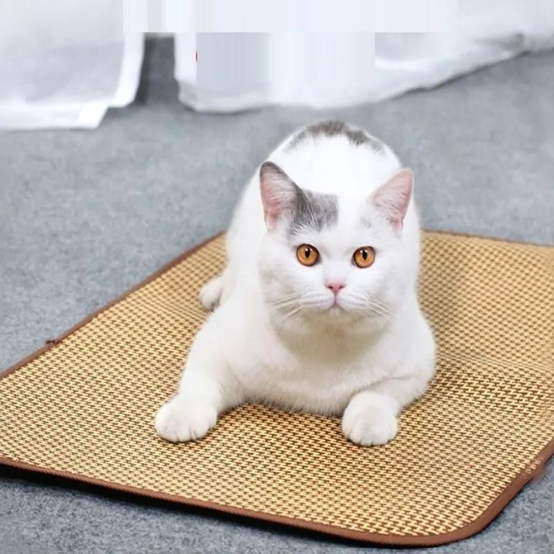 ArcticCool PressureActivated Summer Cooling Mat 2