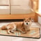 ArcticCool PressureActivated Summer Cooling Mat 4