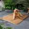 ArcticCool PressureActivated Summer Cooling Mat 6