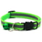 RadiantSafe Reflective Breakaway Pet Collar 9