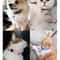 RadiantSafe Reflective Breakaway Pet Collar 6