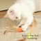 HighElasticity Feather Teaser Ball 0