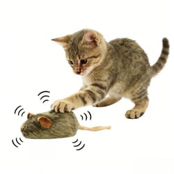 squeaky plush mouse cat chew toy – bite-resistant interactive prey toy