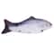 Interactive Flopping Fish Cat Toy USB Rechargeable Moving Pet Teaser 4