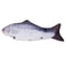 Interactive Flopping Fish Cat Toy USB Rechargeable Moving Pet Teaser 7