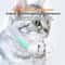 Interactive HandsFree Laser Cat Collar Automatic USB Rechargeable Teaser 5