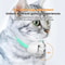 Interactive HandsFree Laser Cat Collar Automatic USB Rechargeable Teaser 5