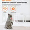 Smart Interactive Laser Cat Collar Automatic HandsFree Rechargeable Teaser 5