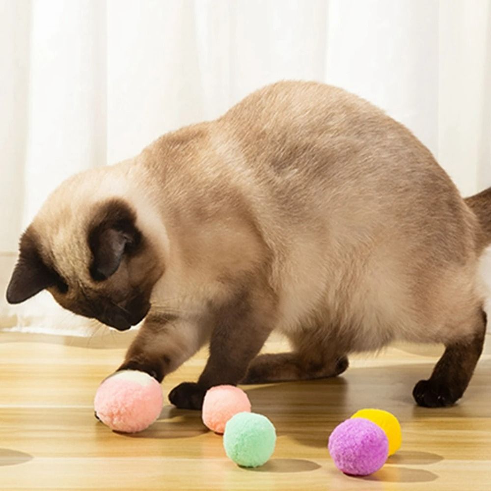 Interactive Soft PomPom Cat Toy Balls 12Piece MultiColor Play Set 2
