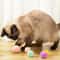 Interactive Soft PomPom Cat Toy Balls 12Piece MultiColor Play Set 2