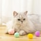 Interactive Soft PomPom Cat Toy Balls 12Piece MultiColor Play Set 3