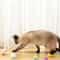 Interactive Soft PomPom Cat Toy Balls 12Piece MultiColor Play Set 4