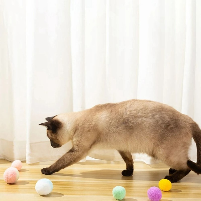 Interactive Soft PomPom Cat Toy Balls 12Piece MultiColor Play Set 4
