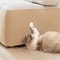 CustomFit WearResistant Cat Climbing Mat SelfAdhesive Wall Furniture Guard 2