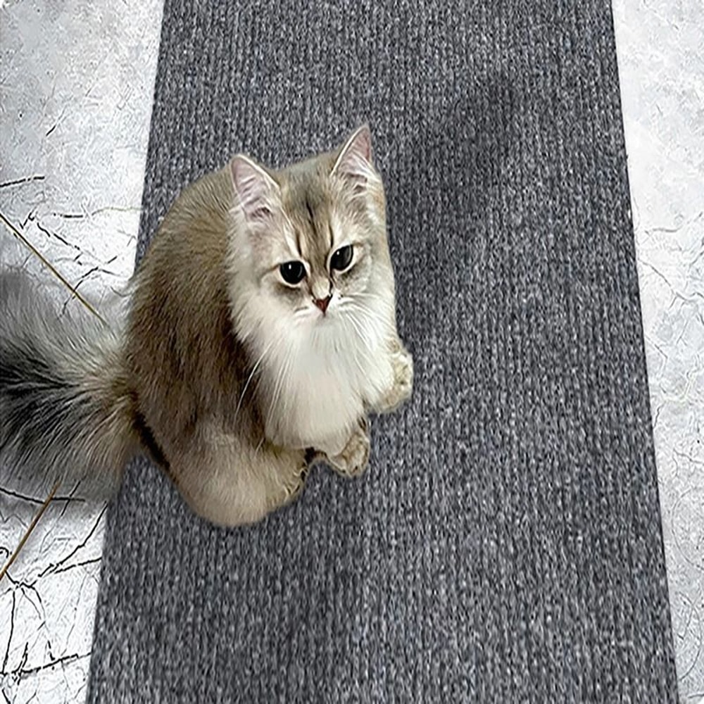 CustomFit WearResistant Cat Climbing Mat SelfAdhesive Wall Furniture Guard 4