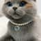 Exquisite Pearl Cat Necklace Adjustable Luxury Jewelry Collar For Kittens Small Pets 2