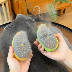 3-in-1 electric steamy cat brush – mist spray, grooming & massage tool