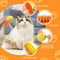 3in1 Electric Steamy Cat Brush Mist Spray Grooming Massage Tool 2