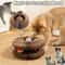 Magic Organ Accordion Cat Scratcher Foldable 2in1 Interactive Scratching Toy 2