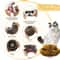 Magic Organ Accordion Cat Scratcher Foldable 2in1 Interactive Scratching Toy 5