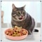 Shallow AntiWhisker Fatigue Cat Bowls 4Piece Colorful NonSlip Feeding Set 2