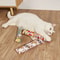 Plush Catnip Cuddle Pillow HeavyDuty Interactive Kick Teething Toy 1