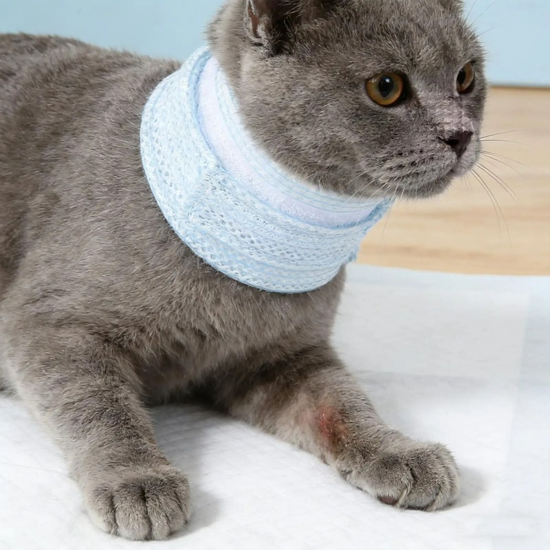 Cat Neck Brace Wound Protector Washable Waterproof PostSurgery Recovery Collar 1