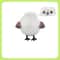 Smart TouchActivated Flapping Bird Interactive USB Rechargeable Sound Motion Cat Toy 9