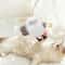 Smart TouchActivated Flapping Bird Interactive USB Rechargeable Sound Motion Cat Toy 5