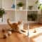 Electric Suction Cup Flattering Butterfly Automatic Steel Wire SelfEntertaining Toy 2
