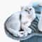 Plush Cat Tree Spoon Hammock Universal Replacement Basket DIY Climbing Frame Accessory 4