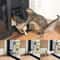 Magnetic Lockable Pet Screen Door Weatherproof Automatic Closure Flap With Paw Print Mesh 3