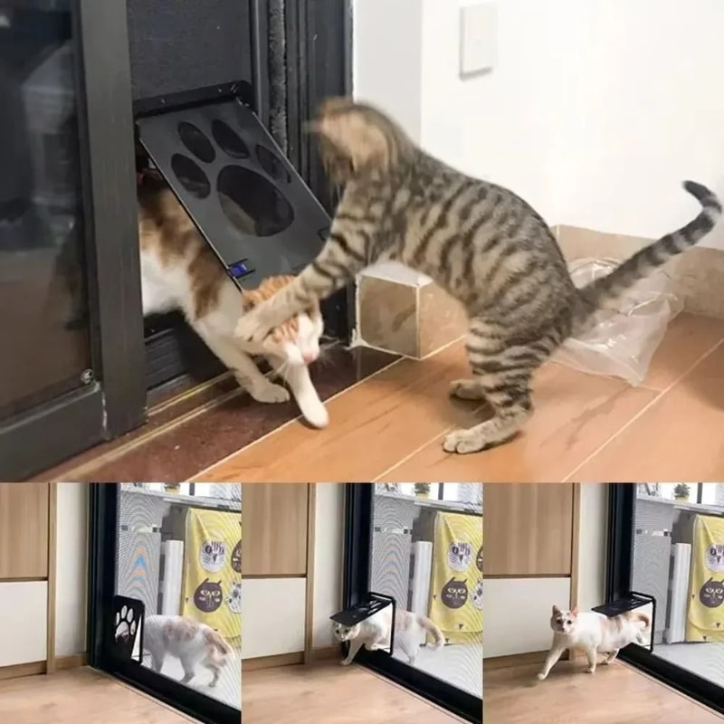 Magnetic Lockable Pet Screen Door Weatherproof Automatic Closure Flap With Paw Print Mesh 3