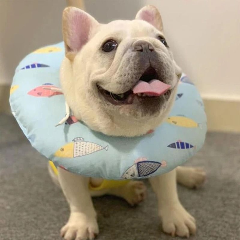 Soft Plush Cat Recovery Collar Adjustable Cushion Cone For PostSurgery Wound Healing 4