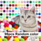 98Piece Premium Plush Cat Toy Balls Soft Assorted Color PomPoms For Chasing Interactive Play 6