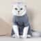Breathable Cotton Cat Recovery Suit AntiLicking PostSurgery Medical Vest Weaning Onesie 3