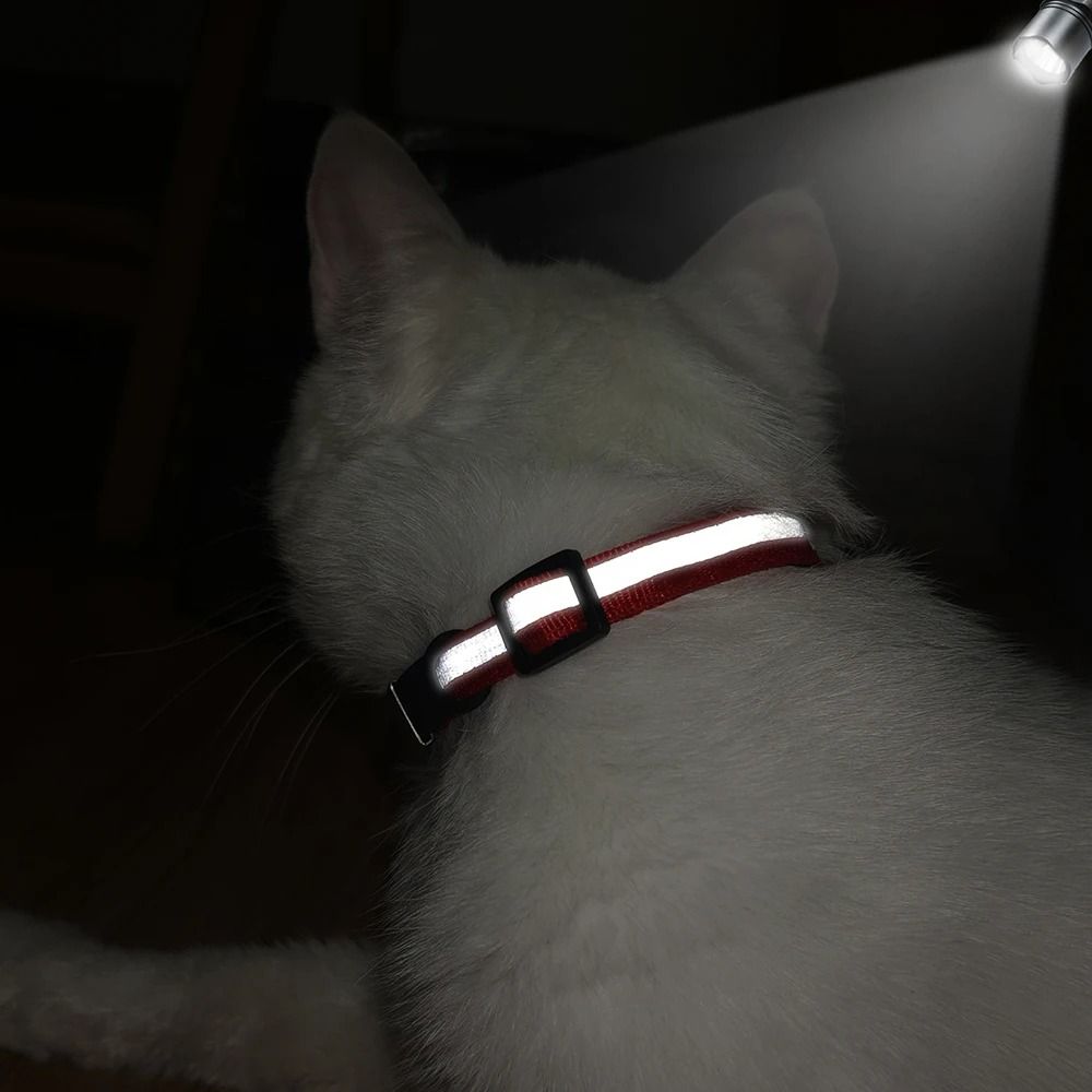 Customized Reflective Safety Cat Collar Personalized LaserEngraved ID Nameplate Bell 5