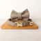 Personalized Bowtie Cat Collar Custom Engraved Nameplate Safety Necklace With Bell For Kittens Sm 10